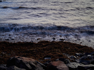 looking directly at a wave crashing beneath onto grey rocks and seaweed, the sea is slightly blurry